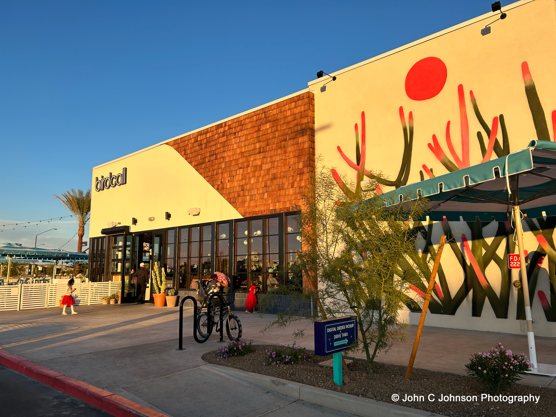 Birdcall Gilbert, Arizona