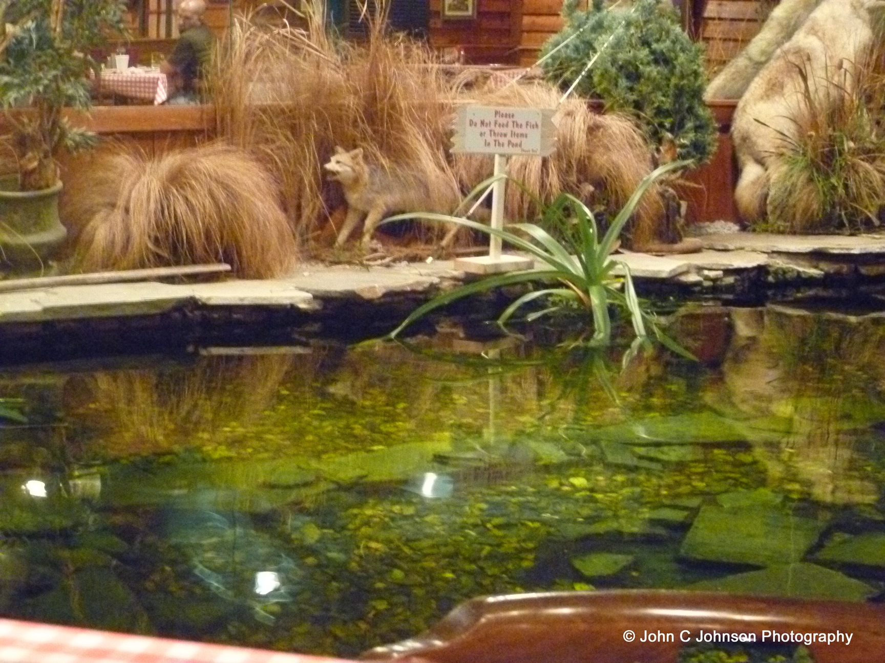 Caney Fork River Valley Grille Nashville, Tennessee