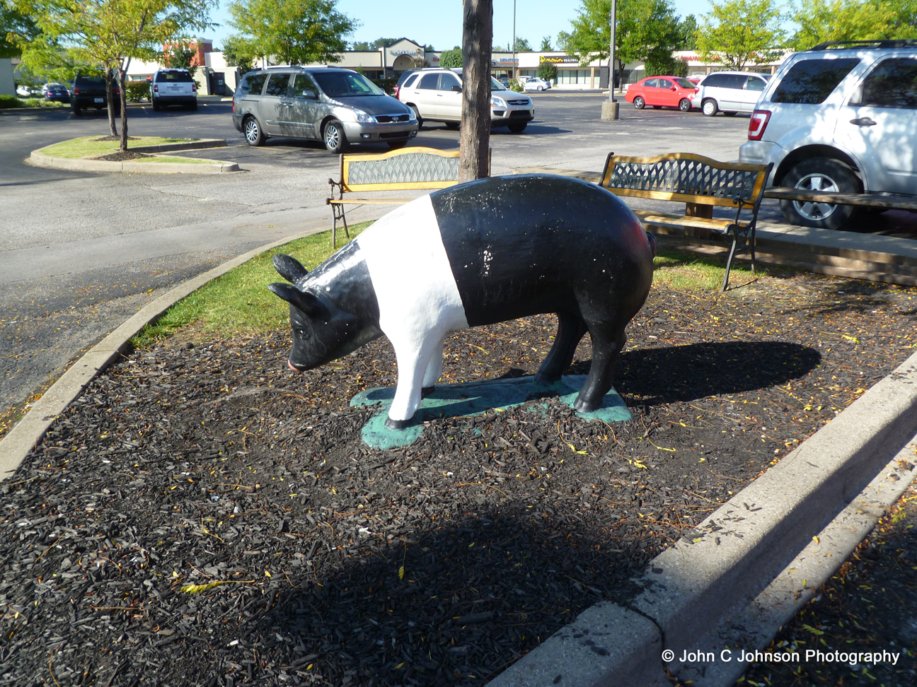 Mark's Feed Store Louisville, Kentucky